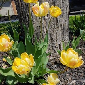 Meet your Posher, Vern'sVintage